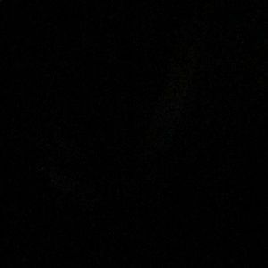 Meet your Posher, Suzanne